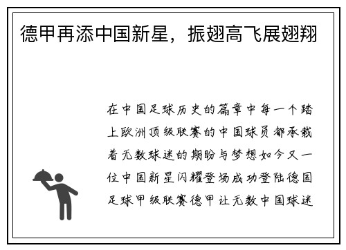 德甲再添中国新星，振翅高飞展翅翔